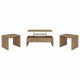 Canoga 3-piece Lift Top Cocktail Coffee Table Set Mango