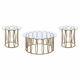 Monett 3-piece Coffee and End Table Set Chocolate Chrome