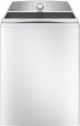 PTW600BSRWS  Glass Lid Washer ($50.00 Rebate 2-22 April 2026)