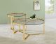 Delia 2-Piece Round Glass Top Nesting Coffee Table Gold