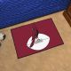 Arizona Cardinals Starter Mat