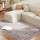 Machine Washable Area Rug 4x6, Non-Slip Traditional Flower Print Floor Carpet for Living Room, Bedroom, Gray andBrown