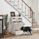  Pet Feeder Station Storage Cabinet, Dog Food Storage Container with Dog Raised Bowls, Watering Supplies, White