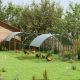  Large Metal Chicken Coop with Waterproof and Anti-UV Cover for Yard, Outdoor, Duck, Rabbit, 9.2' x 31.2' x 6.5'