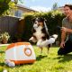  Automatic Dog Ball Launcher with 26-80 FT Distance, Automatic Ball Launcher for Medium and Large Dogs, Orange