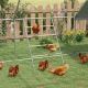 Chicken Roost for Coop, Jungle Gym Roosting Bar, 55
