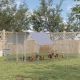  Large Chicken Coop Metal Chicken Run with Waterproof and Anti-UV Cover, Flat Shaped Walk in Fence Cage Hen House for Outdoor and Yard Farm Use, 1